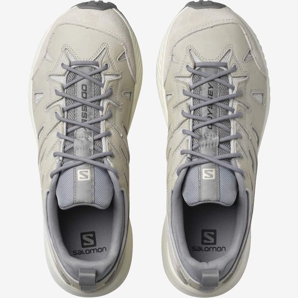 Salomon ODYSSEY ADVANCED Férfi Sportcipő Szürke | SCV670589