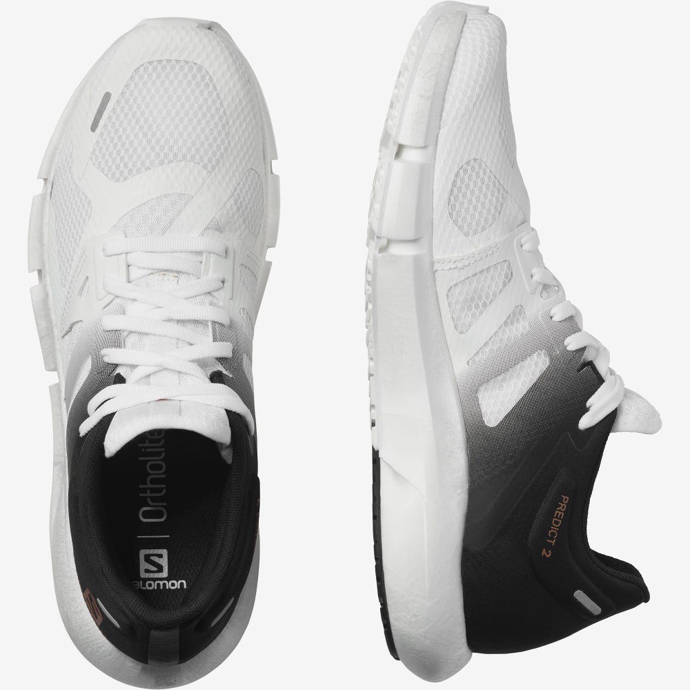 Salomon PREDICT 2 Férfi Futócipő Fehér/Fekete/Fehér | MGR850247