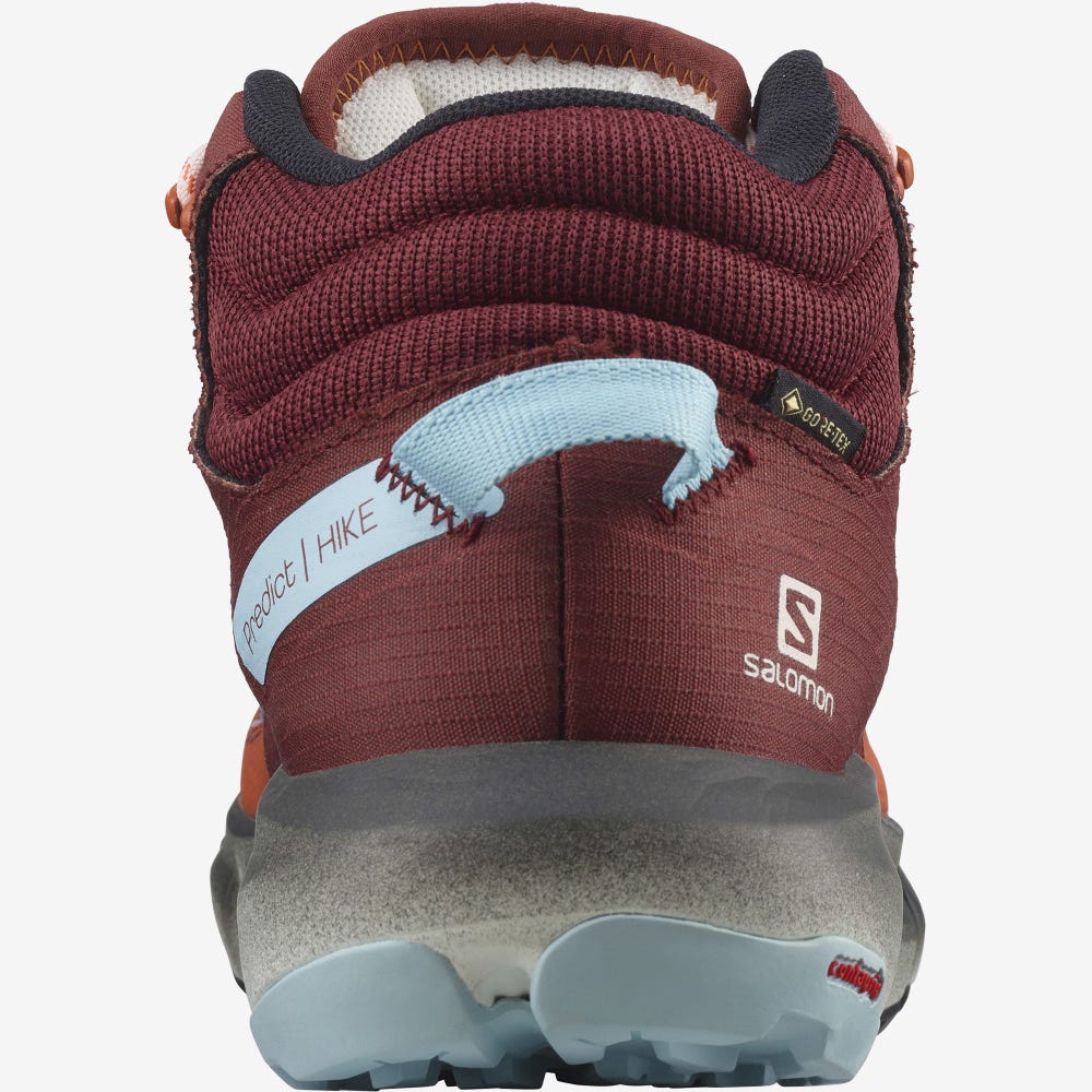 Salomon PREDICT HIKE MID GORE-TEX Női Túrabakancs Narancssárga/Barna/Kék | DYK719436