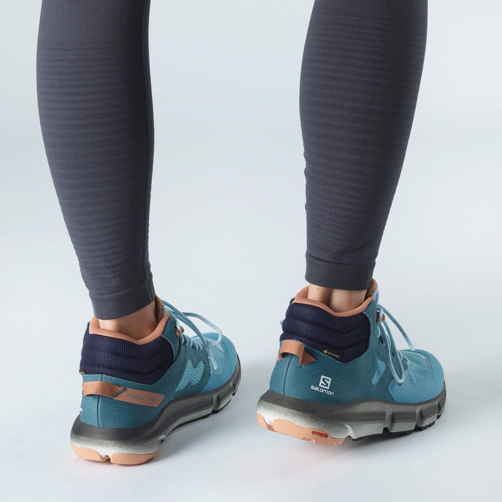 Salomon PREDICT HIKE MID GORE-TEX Női Túrabakancs Kék/Bézs | JLQ951480
