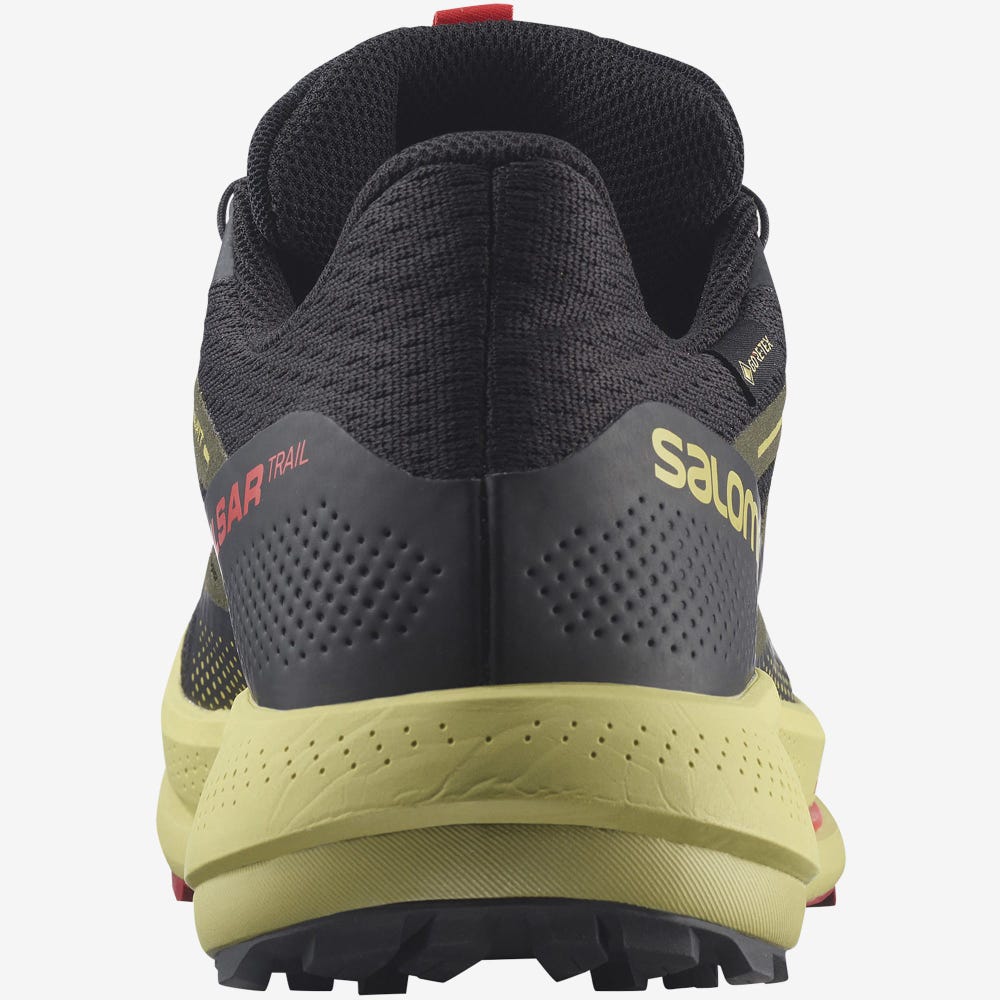 Salomon PULSAR TRAIL GORE-TEX Férfi Terepfutó Cipő Fekete/Zöld/Piros | KXI627549