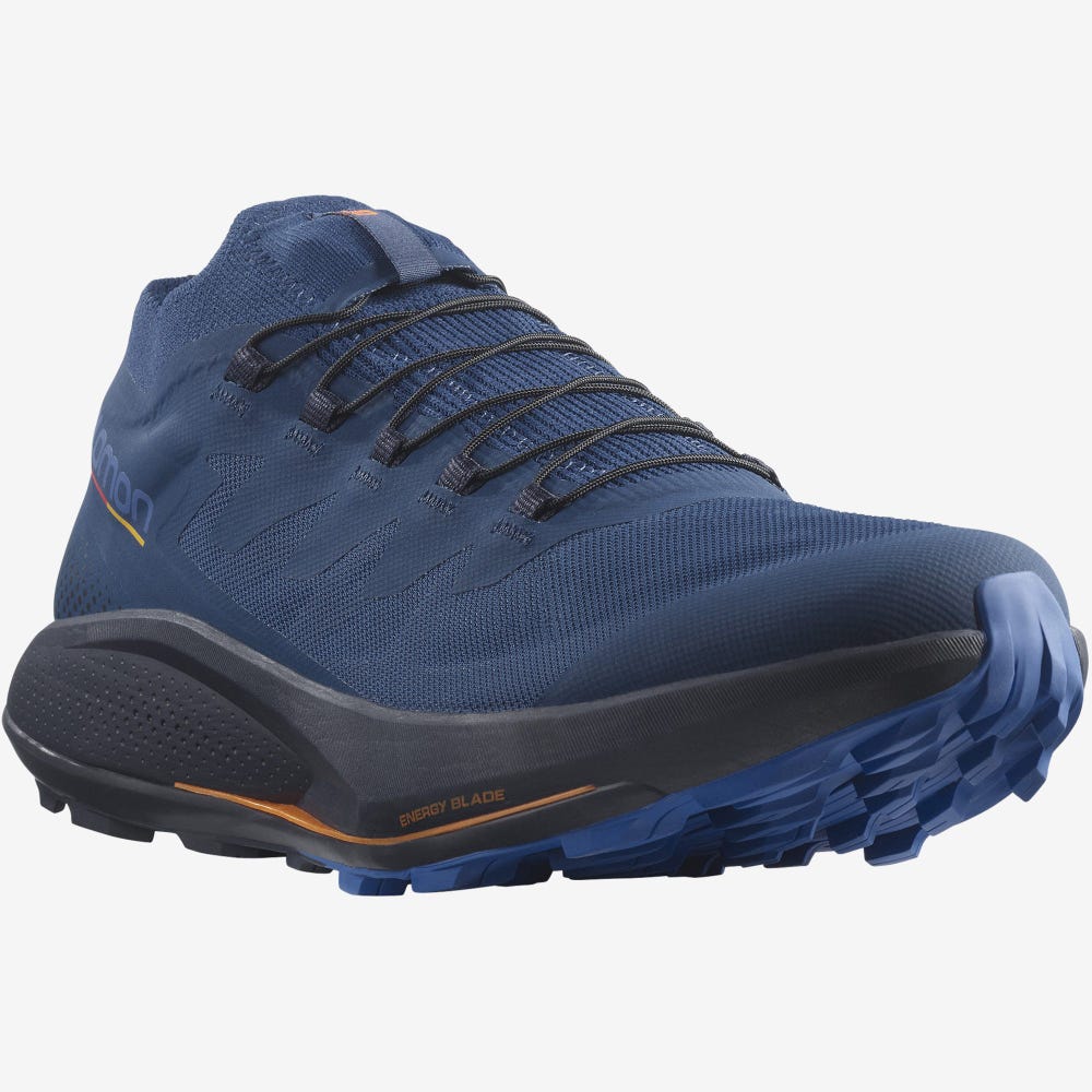 Salomon PULSAR TRAIL PRO Férfi Terepfutó Cipő Kék | RPQ203954