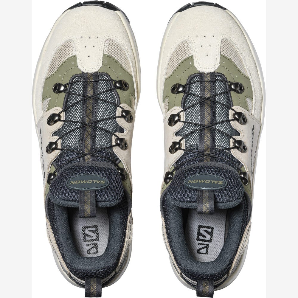 Salomon RAID WIND ADVANCED Férfi Sportcipő Szürke/Bézs/MélyZöld | FKM521487