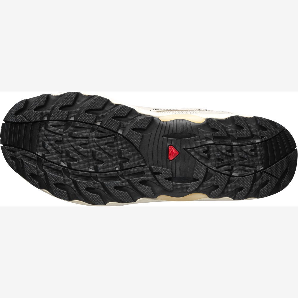 Salomon RAID WIND ADVANCED Férfi Sportcipő Szürke/Bézs/MélyZöld | FKM521487