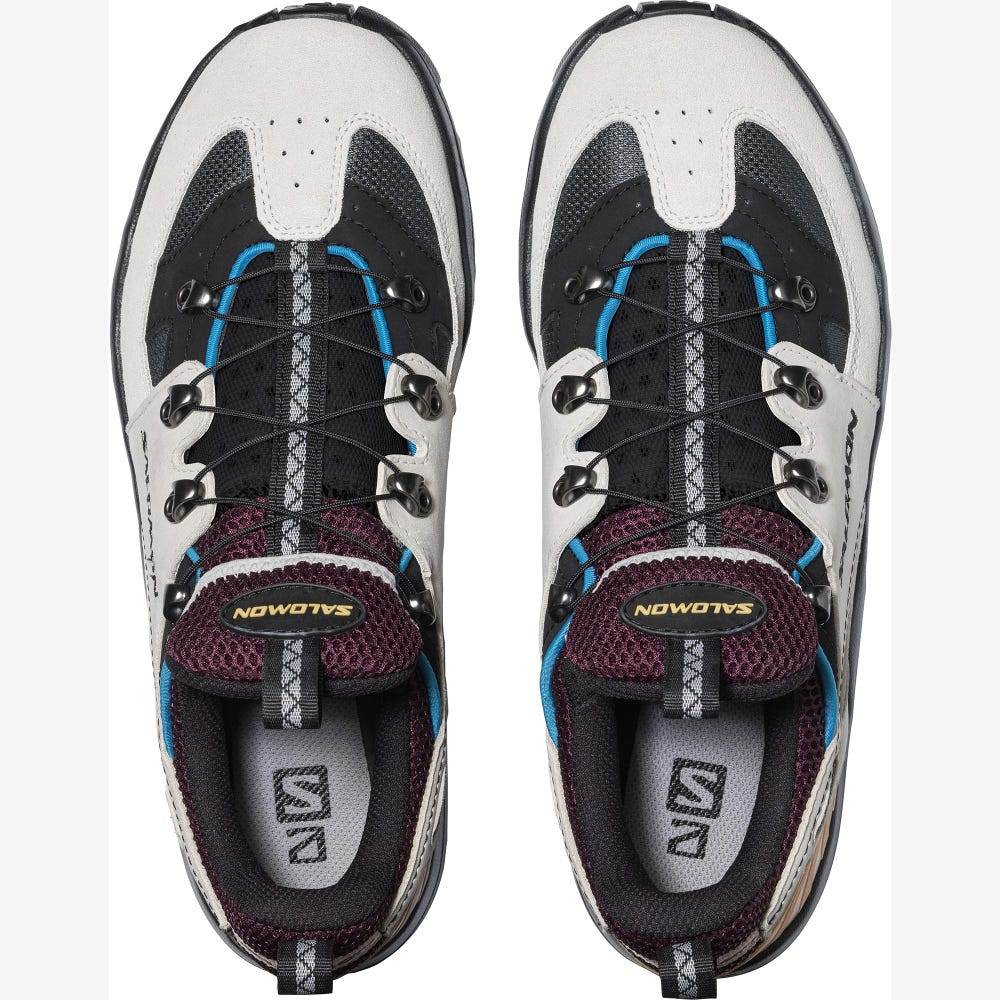 Salomon RAID WIND ADVANCED Férfi Sportcipő Bézs/Kék | FST032517