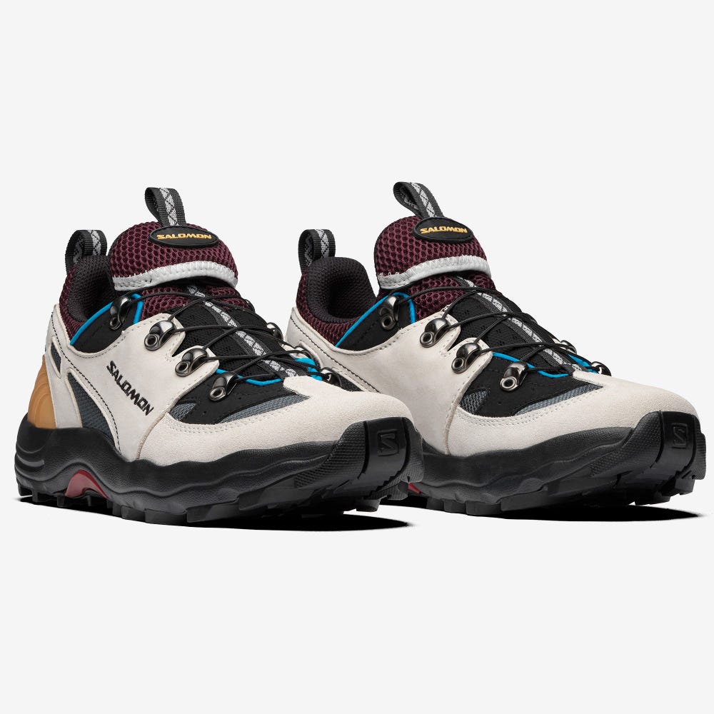 Salomon RAID WIND ADVANCED Férfi Sportcipő Bézs/Kék | FST032517