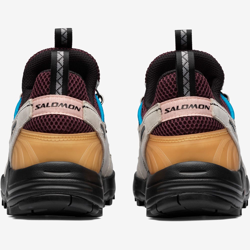 Salomon RAID WIND ADVANCED Férfi Sportcipő Bézs/Kék | FST032517
