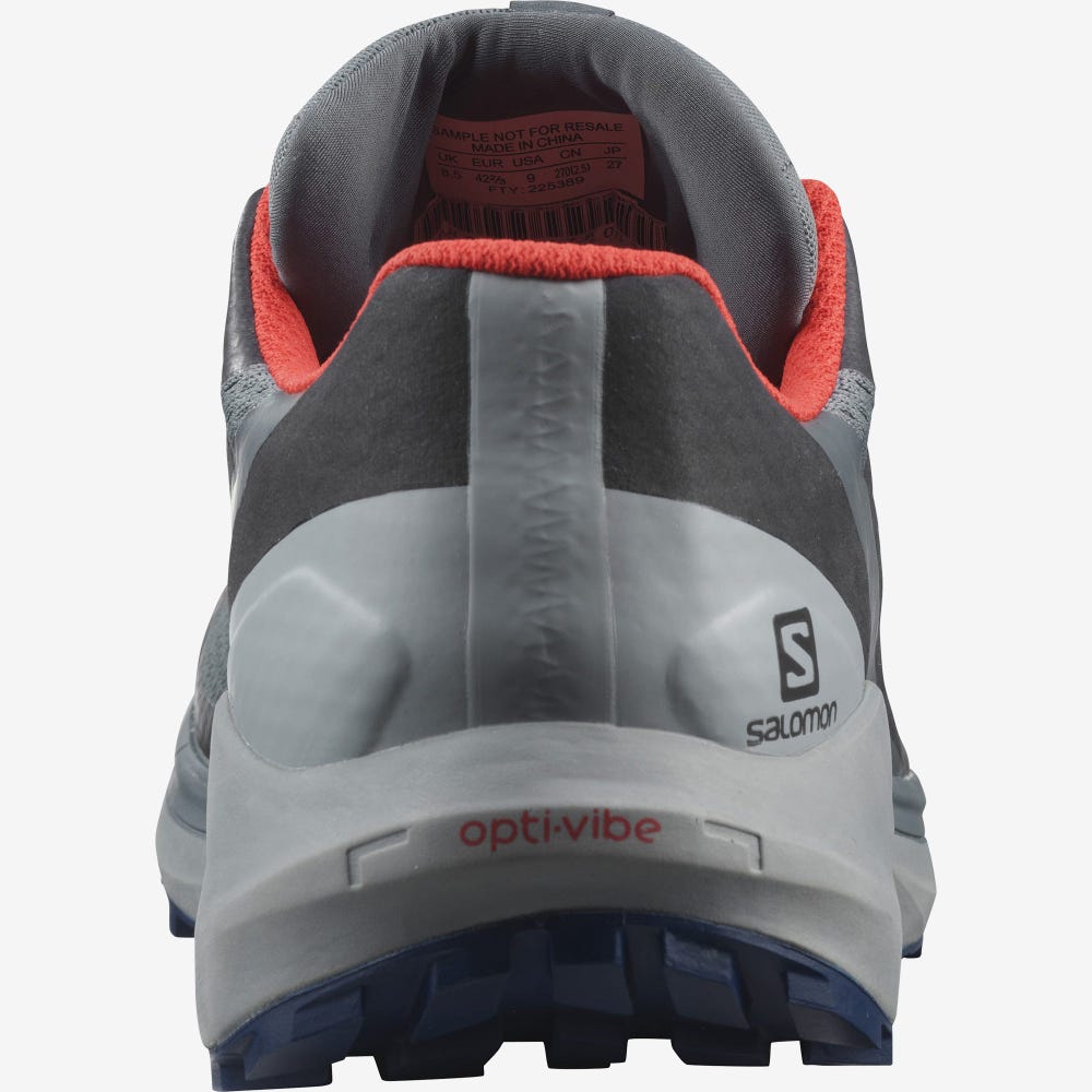 Salomon SENSE RIDE 4 GORE-TEX INVISIBLE FIT Férfi Terepfutó Cipő Szürke | PTX958267