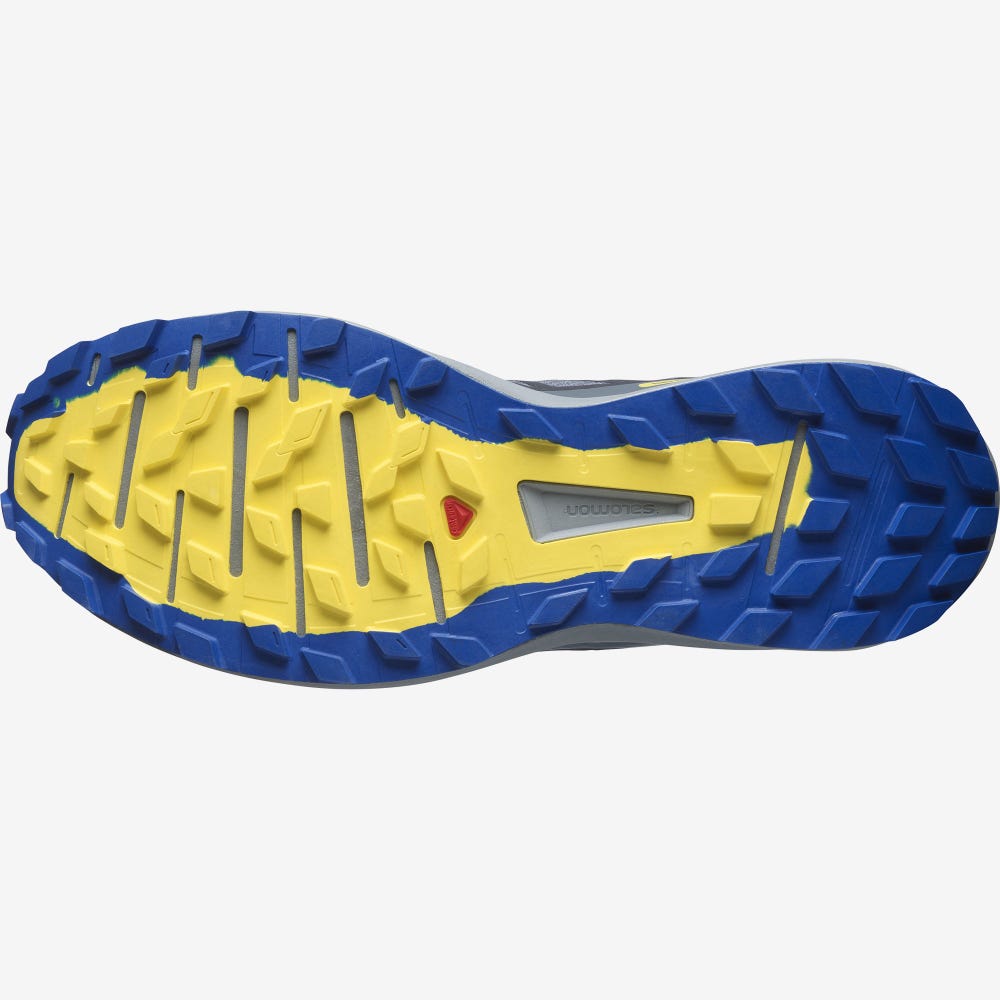 Salomon SENSE RIDE 4 GORE-TEX INVISIBLE FIT Férfi Terepfutó Cipő Szürke | PTX958267