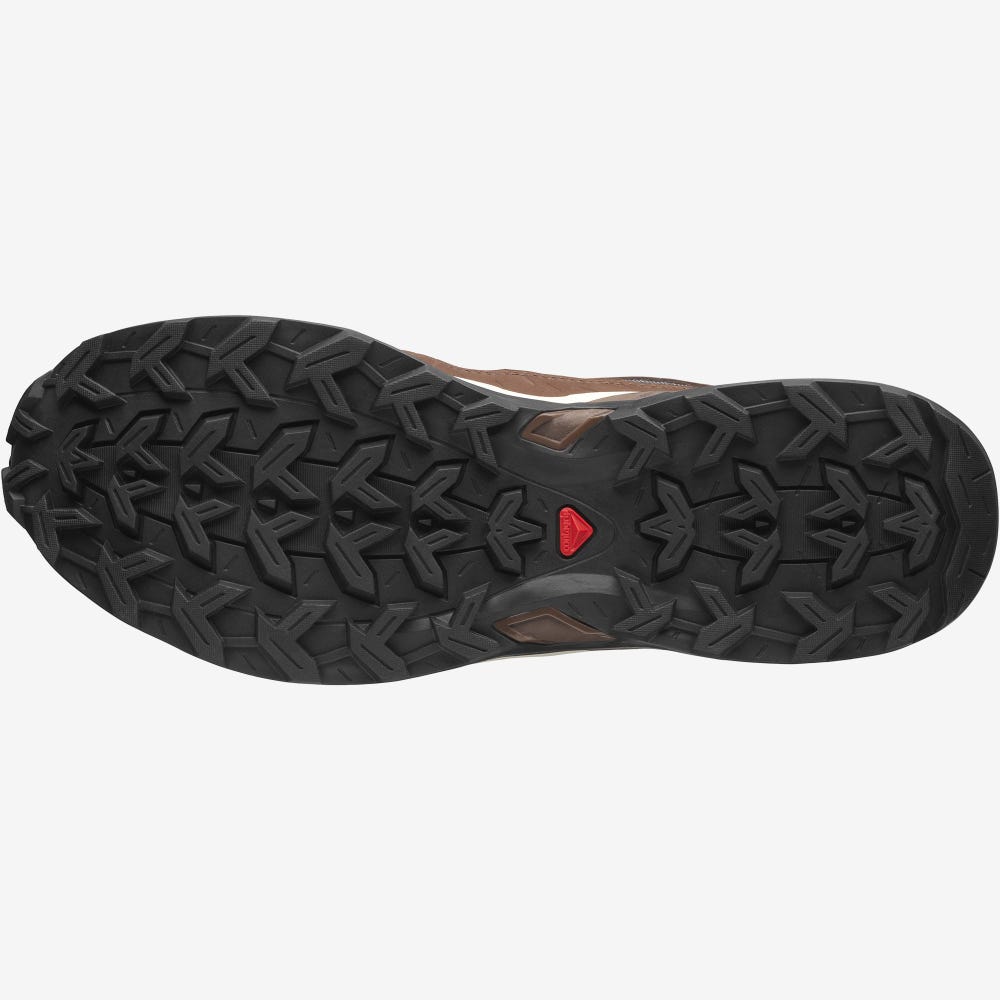 Salomon SHELTER LOW LEATHER Férfi Sportcipő Bézs/Csokoládé | PWF261497