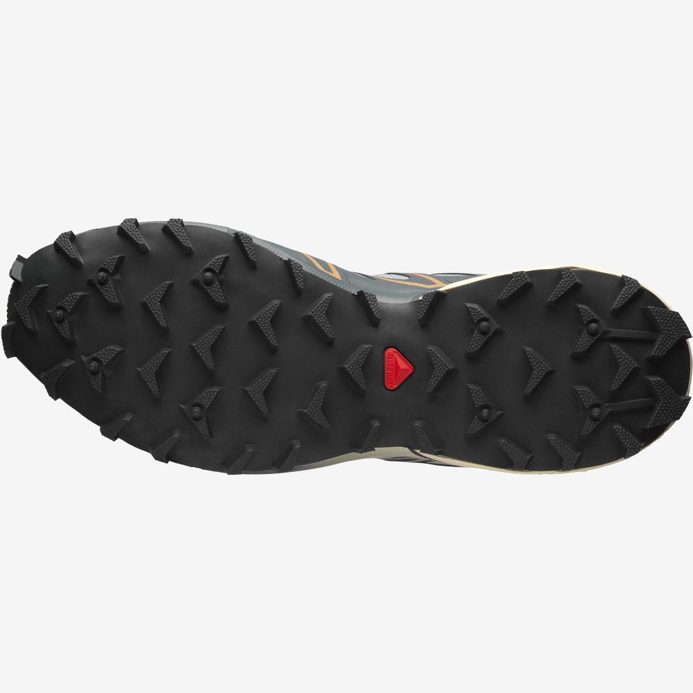 Salomon SPEEDCROSS 3 Női Sportcipő Barna | PRI647513
