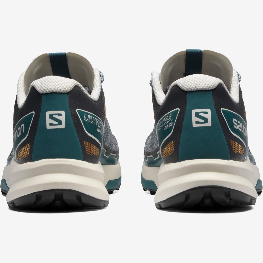 Salomon ULTRA RAID Férfi Sportcipő Kék | LEH063192