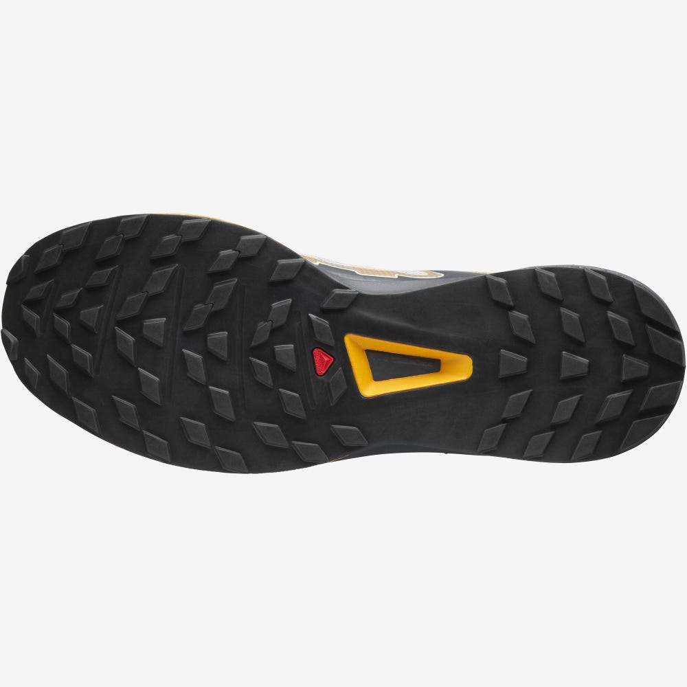 Salomon ULTRA RAID Férfi Sportcipő Szürke/Barna | EZP609523
