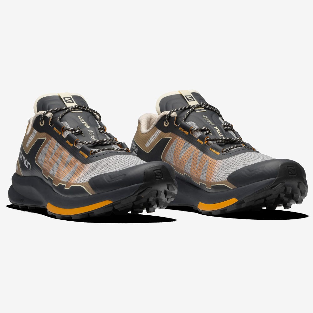 Salomon ULTRA RAID Férfi Sportcipő Szürke/Barna | EZP609523