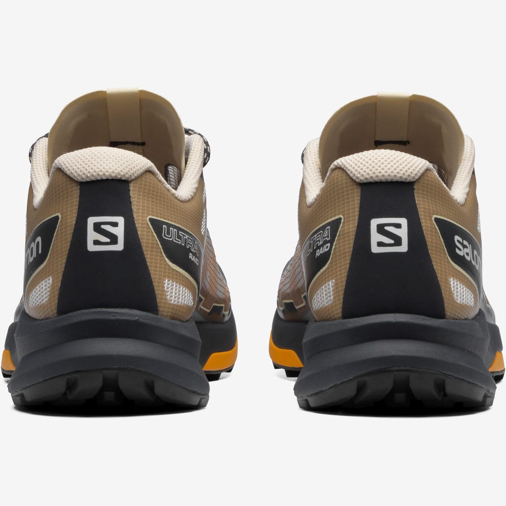 Salomon ULTRA RAID Férfi Sportcipő Szürke/Barna | EZP609523