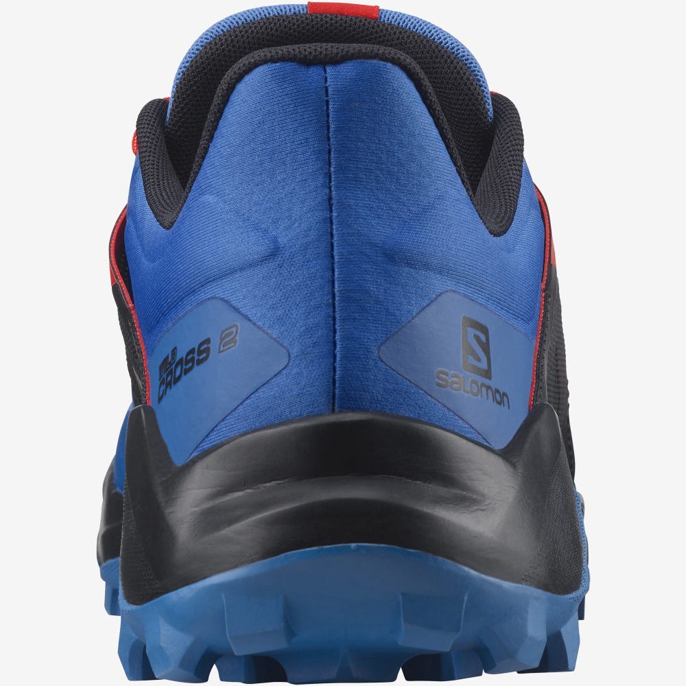 Salomon WILDCROSS 2 Férfi Terepfutó Cipő Kék/Fekete | GNB407261