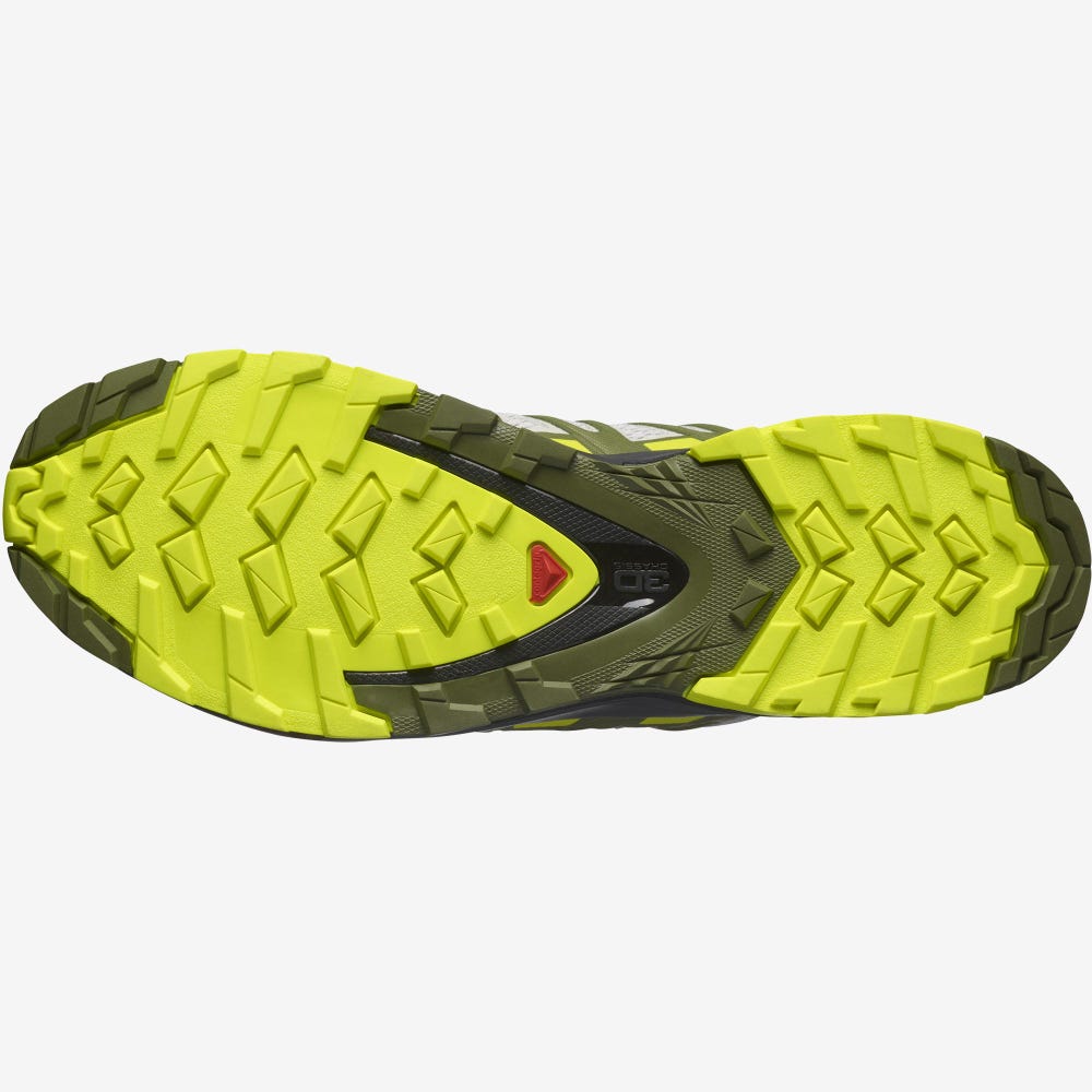 Salomon XA PRO 3D v8 Férfi Túracipő Szürke/Zöld | QGY174283