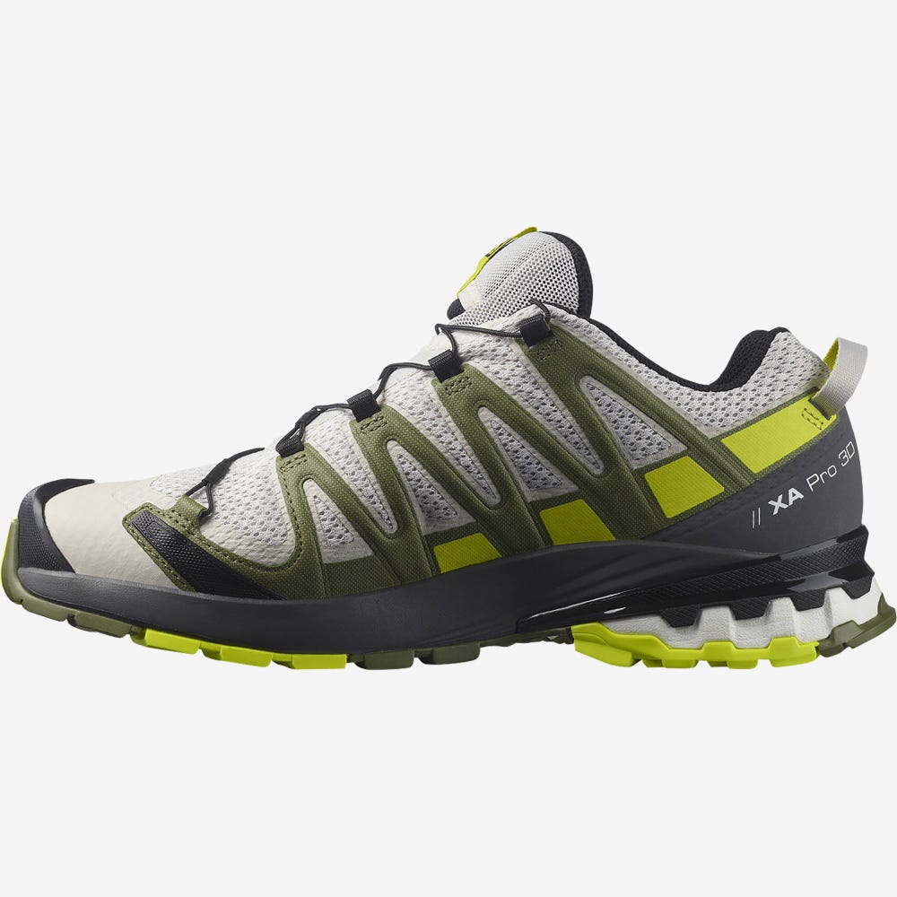 Salomon XA PRO 3D v8 Férfi Túracipő Szürke/Zöld | QGY174283