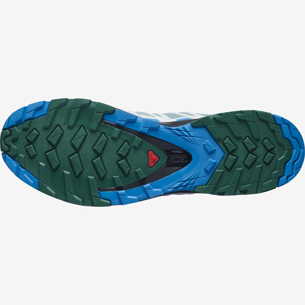 Salomon XA PRO 3D v8 Férfi Túracipő Zöld/Kék | BJA403978