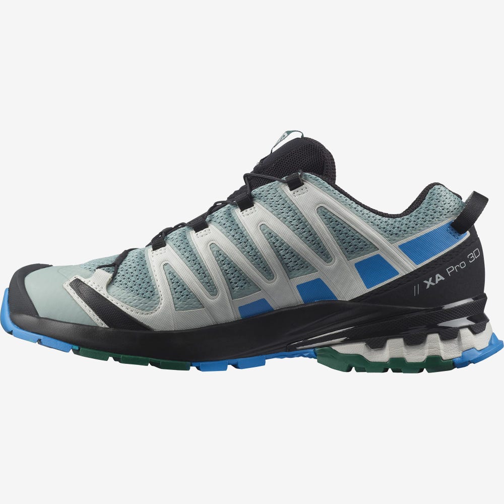 Salomon XA PRO 3D v8 Férfi Túracipő Zöld/Kék | BJA403978