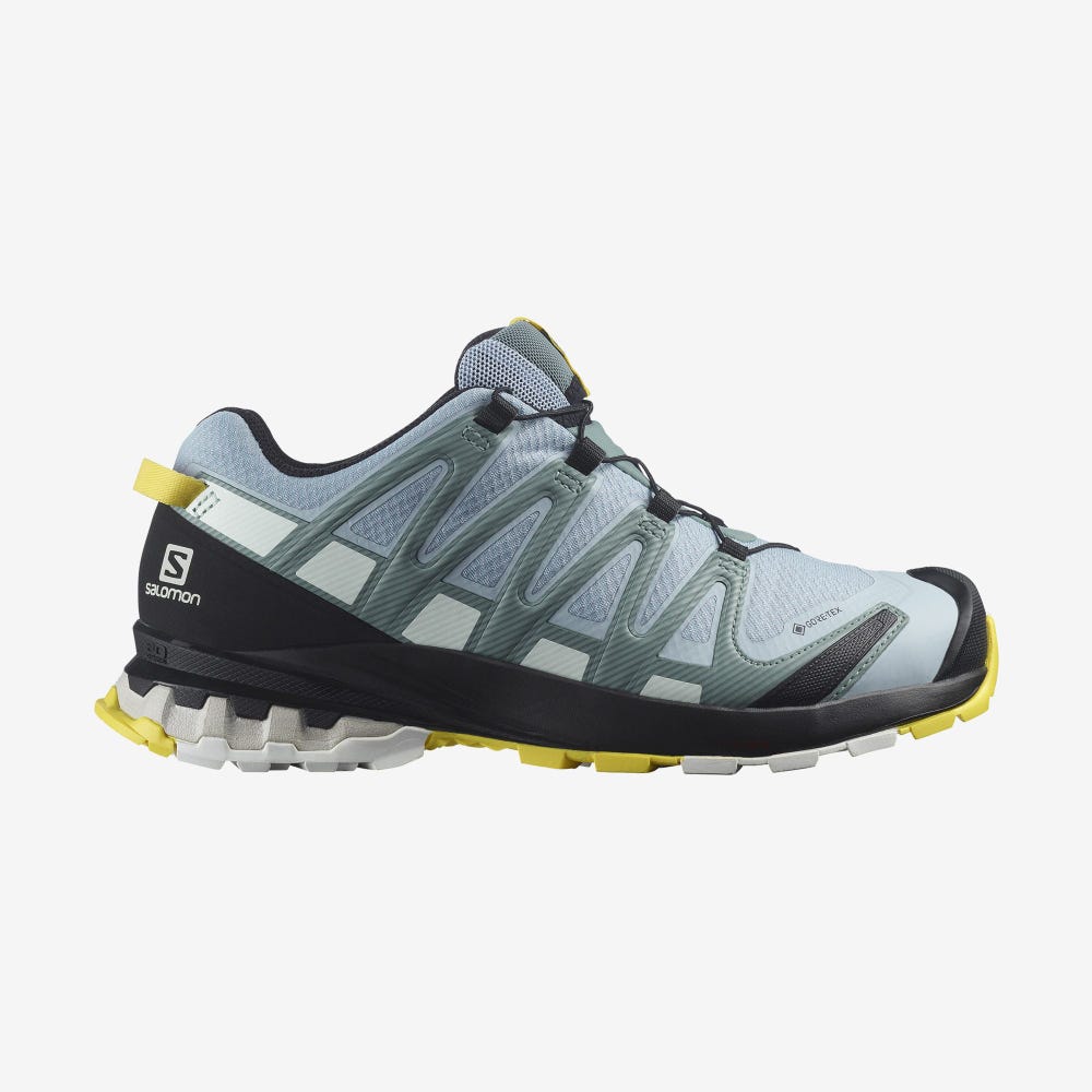 Salomon XA PRO 3D v8 GORE-TEX Női Túracipő Kék/Fehér | JVA235078
