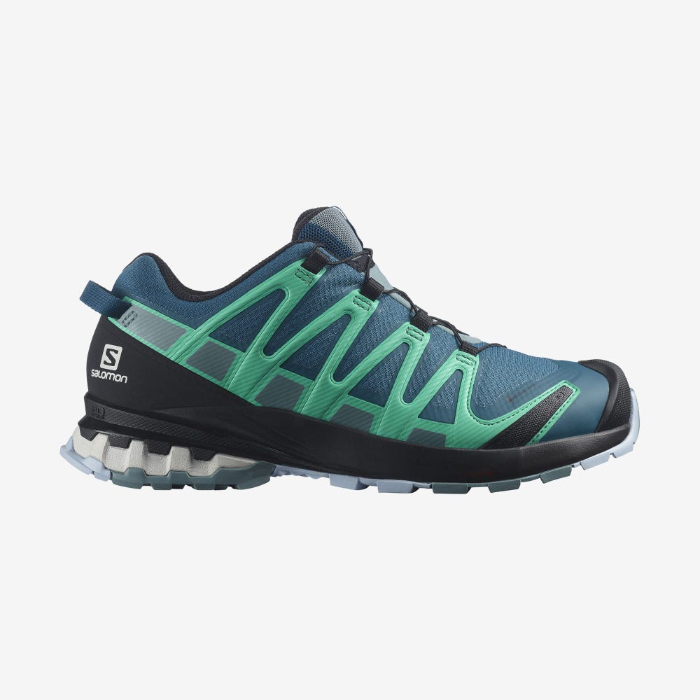 Salomon XA PRO 3D v8 GORE-TEX Női Túracipő Kék/Menta | YFP734216