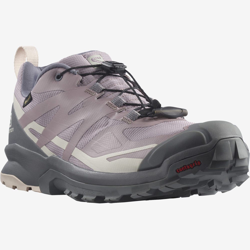 Salomon XA ROGG 2 GORE-TEX Női Terepfutó Cipő Szürke | TWF147560