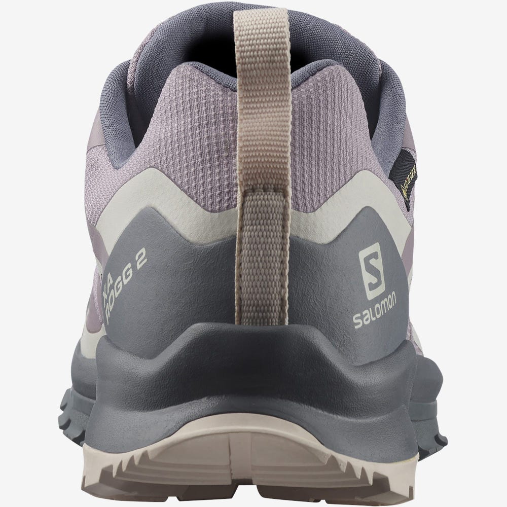 Salomon XA ROGG 2 GORE-TEX Női Terepfutó Cipő Szürke | TWF147560