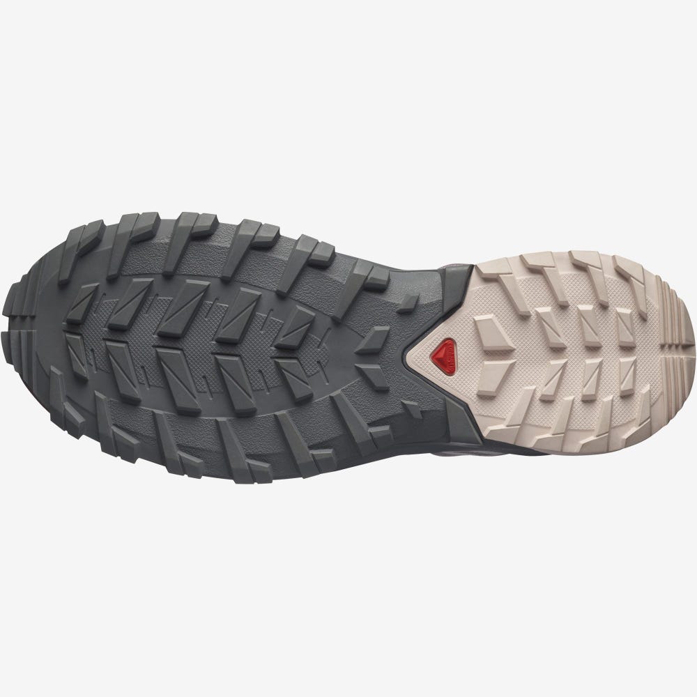 Salomon XA ROGG 2 GORE-TEX Női Terepfutó Cipő Szürke | TWF147560