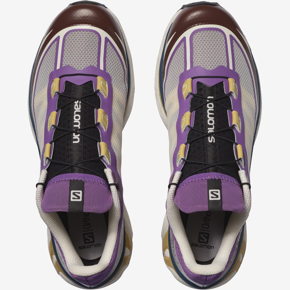 Salomon XT-6 FT Férfi Sportcipő Királykék Lila/Csokoládé | JKO251864