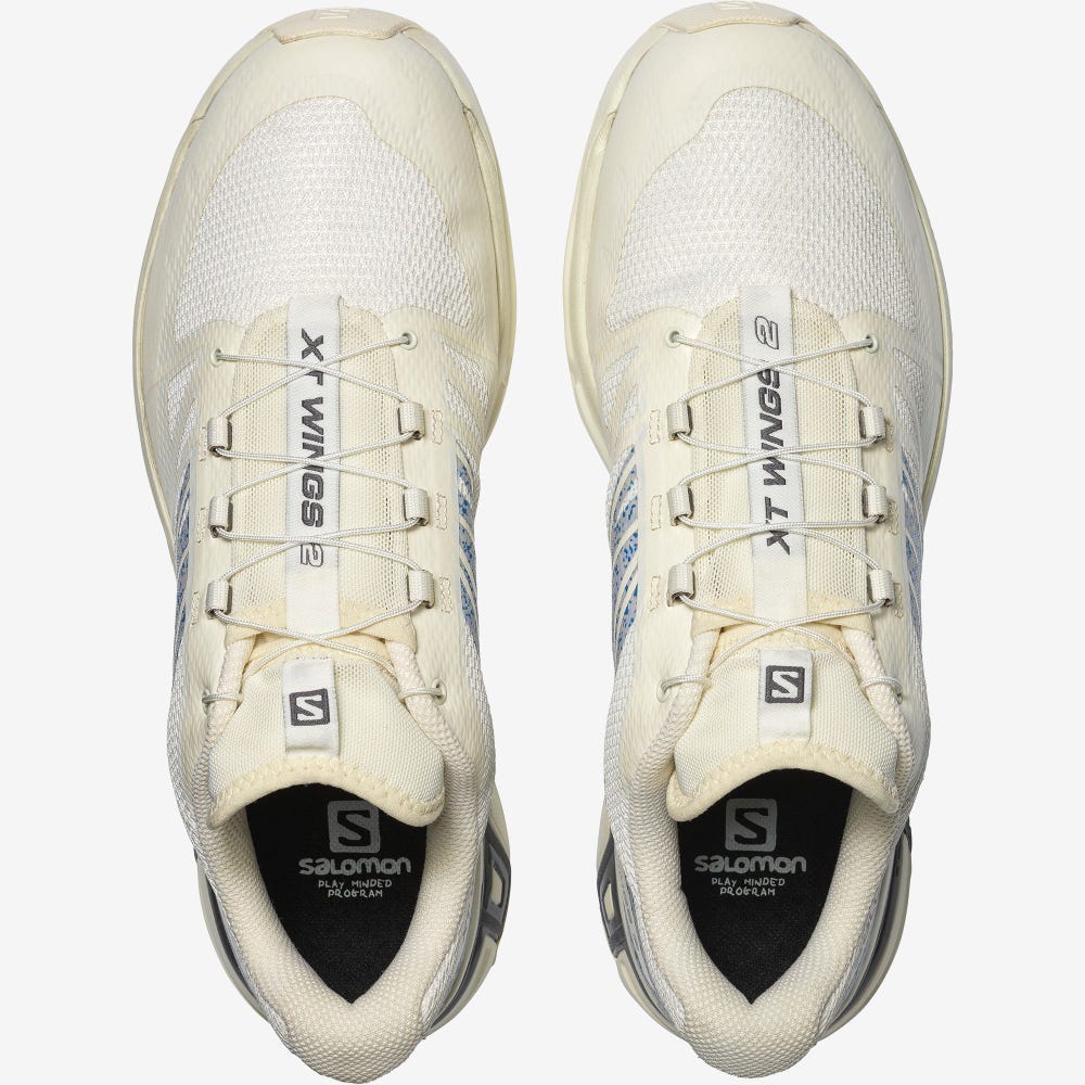 Salomon XT-WINGS 2 MINDFUL Női Sportcipő Bézs | HQK691058