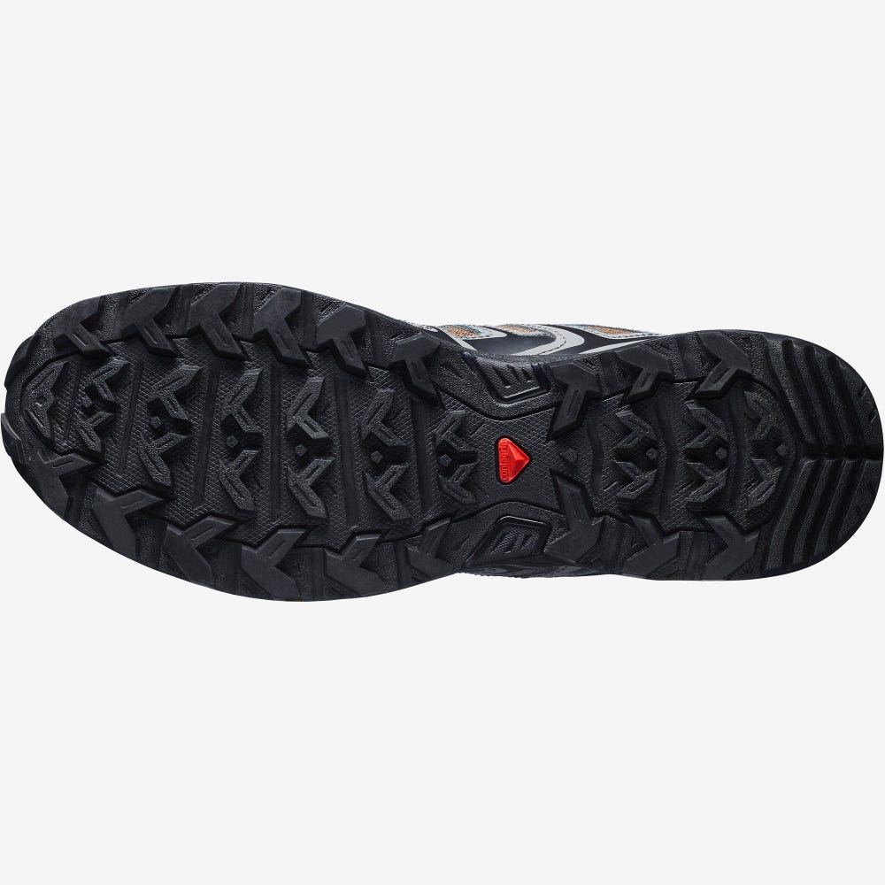 Salomon X ULTRA PIONEER Férfi Túracipő Kék | EHW680549