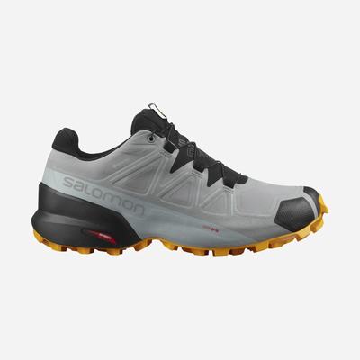 Salomon SPEEDCROSS 5 GORE-TEX Férfi Terepfutó Cipő Fekete | JWC094671