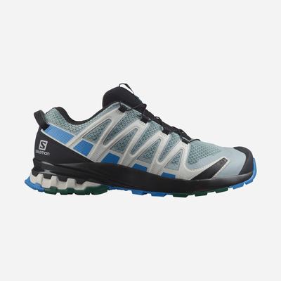 Salomon XA PRO 3D v8 Férfi Terepfutó Cipő Zöld/Kék | IZX025864