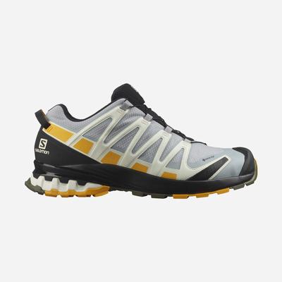 Salomon XA PRO 3D v8 GORE-TEX Férfi Túracipő Fekete | XFH381095