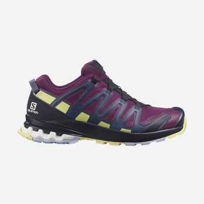 Salomon XA PRO 3D v8 GORE-TEX Női Terepfutó Cipő Lila/Kék | EZF807456