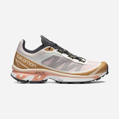Salomon XT-6 FT Férfi Sportcipő Fekete | GTP036549